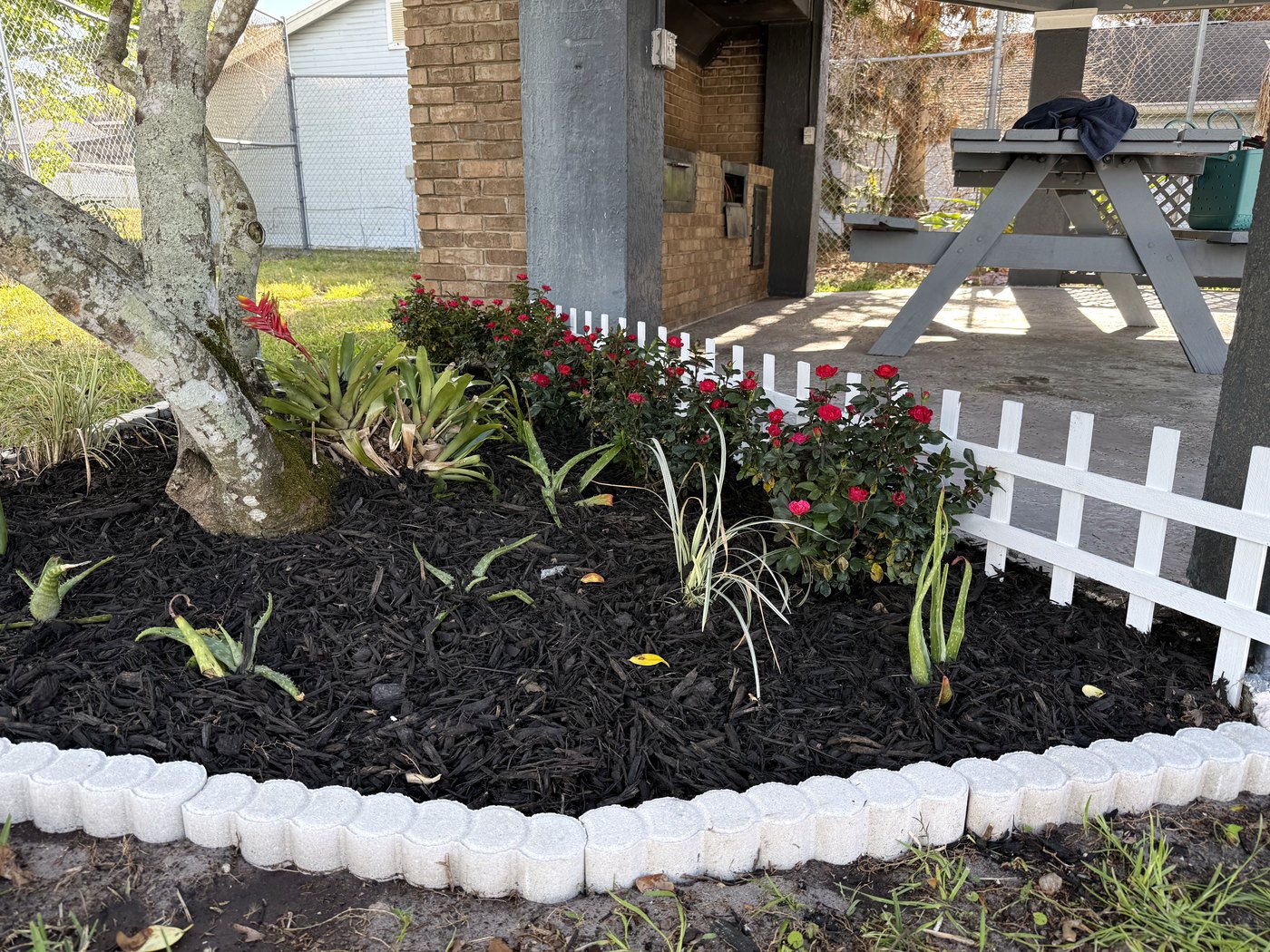 Cabana planting bed with mulch, edging, roses, and greenery