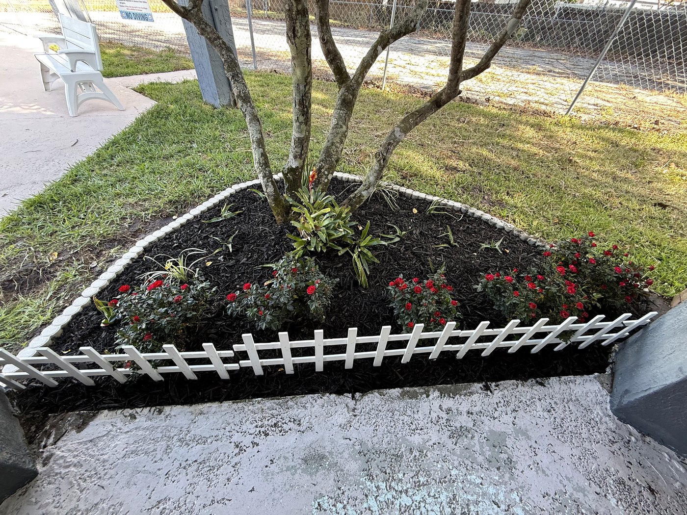 Fenced cabana planter bed with black mulch and red flowering plants