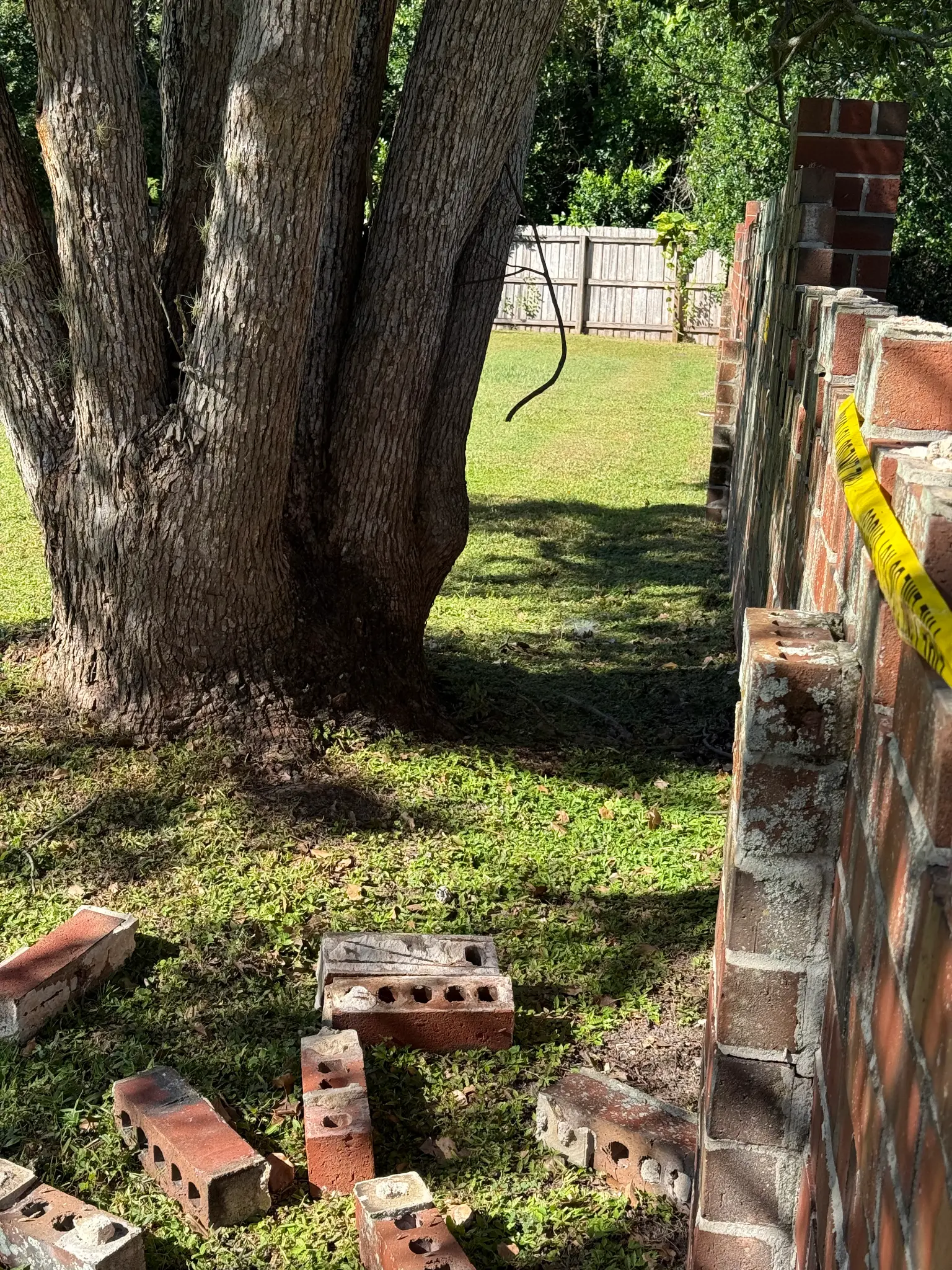 Fallen bricks with tree view