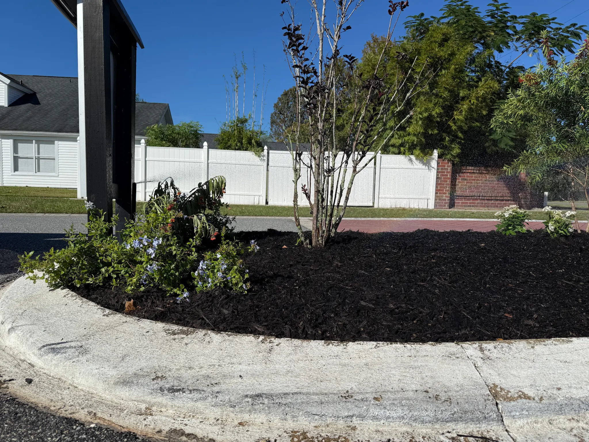 After: Complete landscape transformation