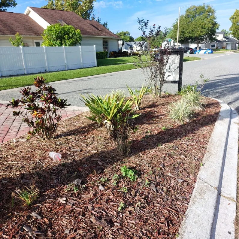 Before: Dying plants and old mulch