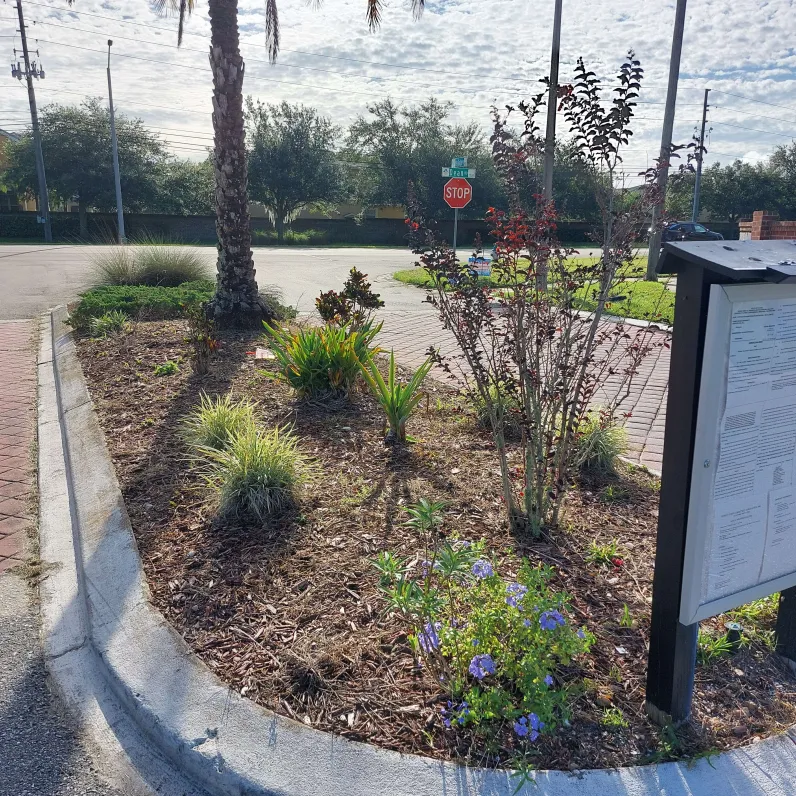 Before: Sparse plantings and poor maintenance